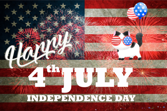 Post-Independence Day: Recovering from Fireworks Fright