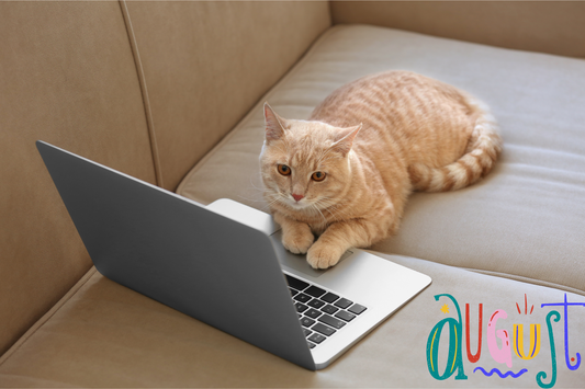 When Your Cat Becomes a Social Media Influencer