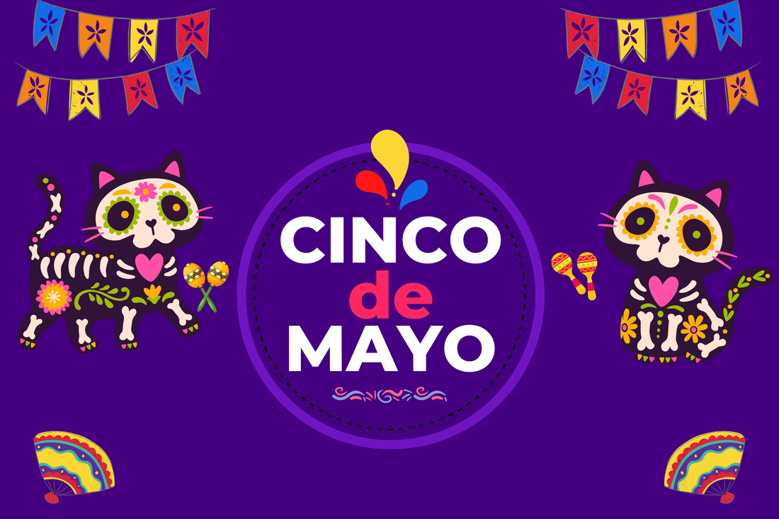 Cinco de Mayo: Teaching Your Pet Spanish in 5 Minutes!