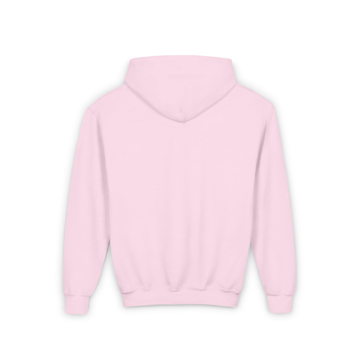 Cat Aficionado - Youth Heavy Blend Hooded Sweatshirt - Japanese