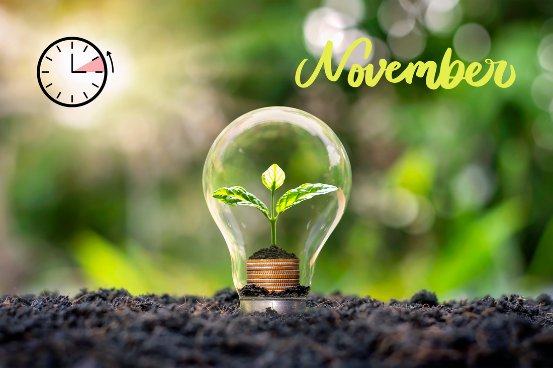 Daylight Saving Time End: Explaining Extra Sleep to Your Cat