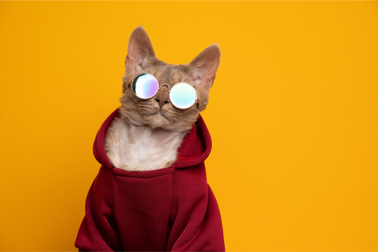 Why Hoodies Are Emotional Support Clothing