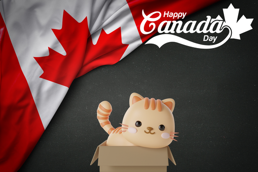 Canada Day Eve: Teaching Your Cat to Say 'Eh'