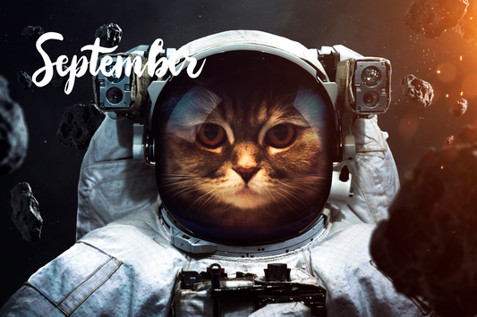 World Space Week: Your Cat's Plans for Galaxy Domination