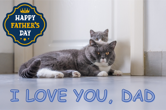 Father's Day: When Your Cat Becomes the Man of the House