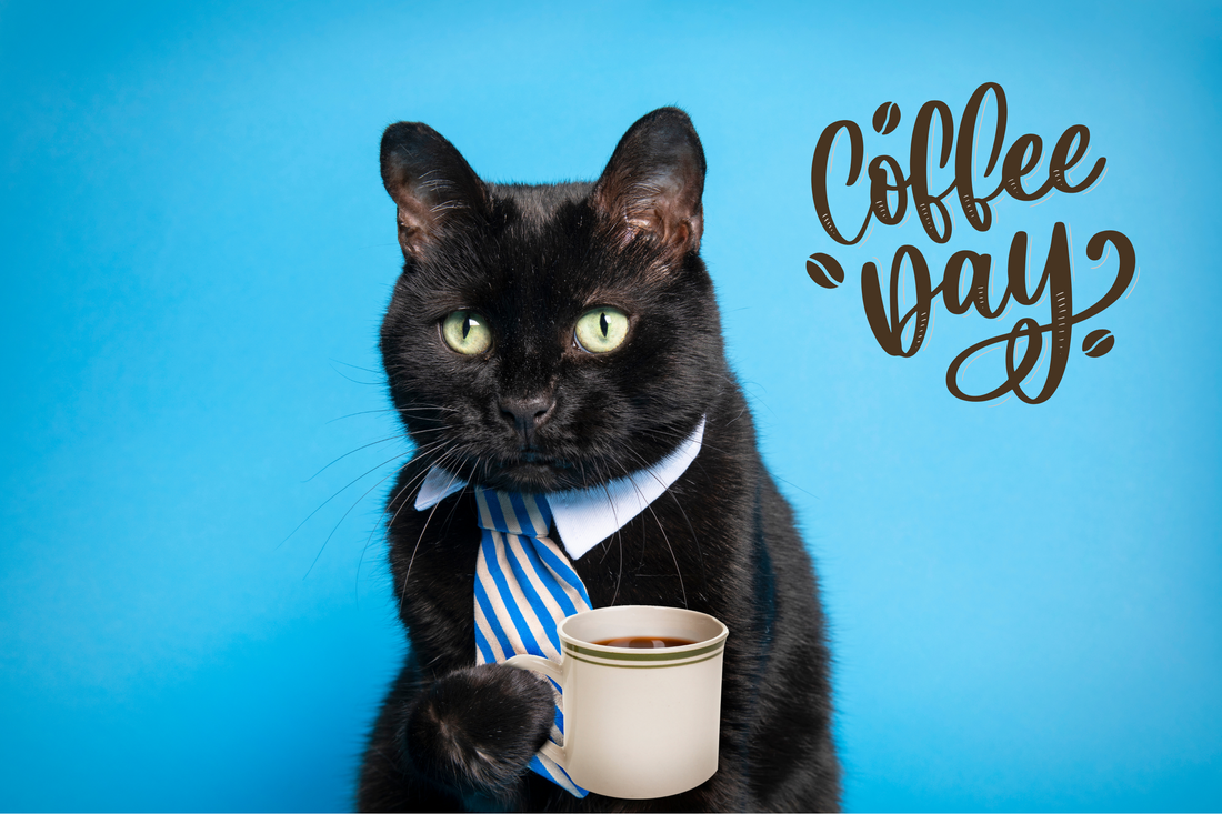 Coffee Day: When Your Cat Becomes a Barista