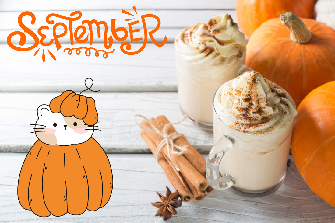 First Day of Fall: Your Cat's Pumpkin Spice Addiction