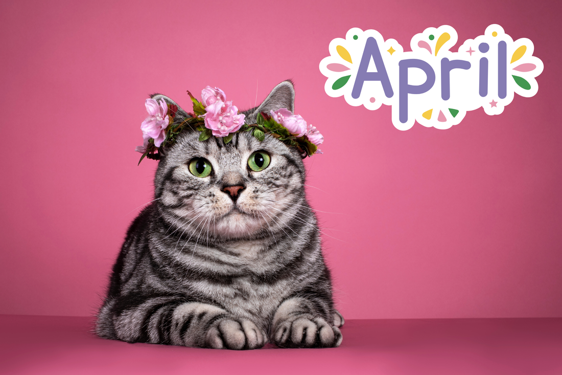 Earth Day: Save the Planet, Wear More Cats