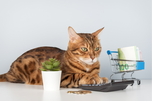 Amazon Prime Day? Or Support Small Cat Businesses?