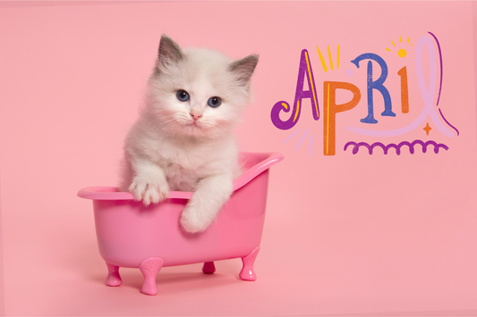 Motivation Season: Wear Your Ambition (志 Kokorozashi)