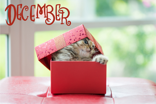 The Great Gift Wrap Battle: Cats vs. Presents
