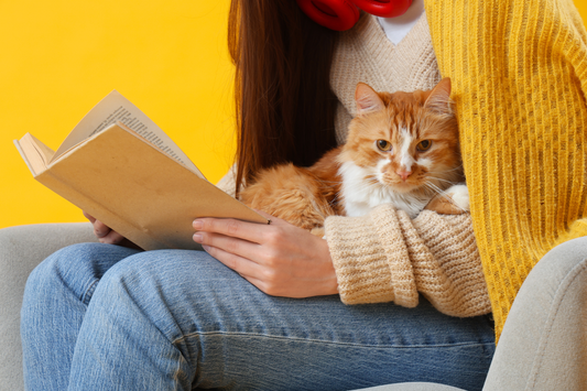 Introvert Summer: Stay Home With Cats