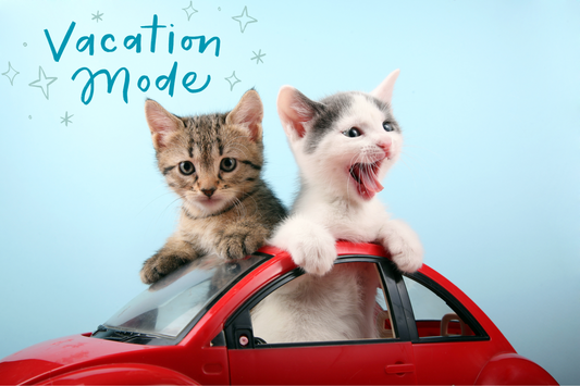 End of Summer Blues: Your Cat's Va-Cat-ion Photos