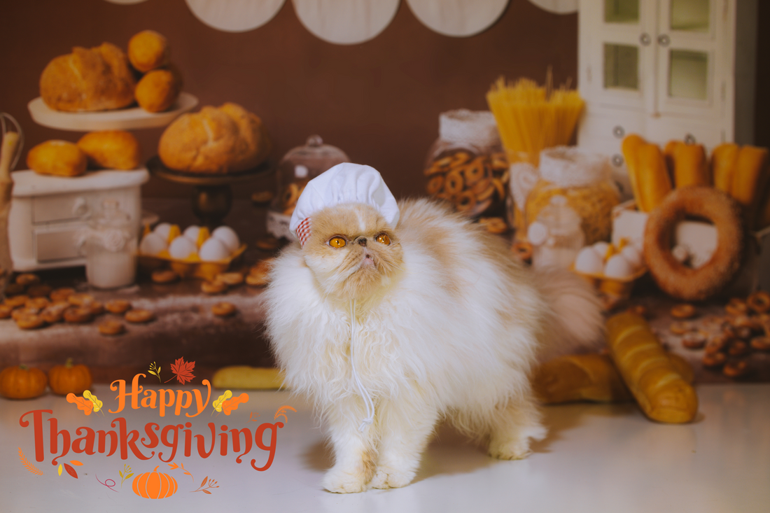 Thanksgiving Day: Gratitude, Naps, and the Mysterious Disappearance of the Table Decor