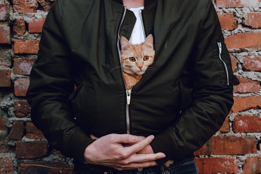 Father’s Day Gift Guide for Cat Dads