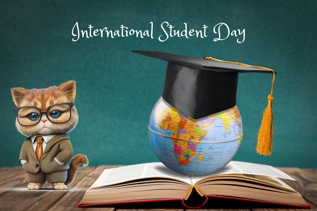 International Students Day: When Your Cat Decides to Go to College