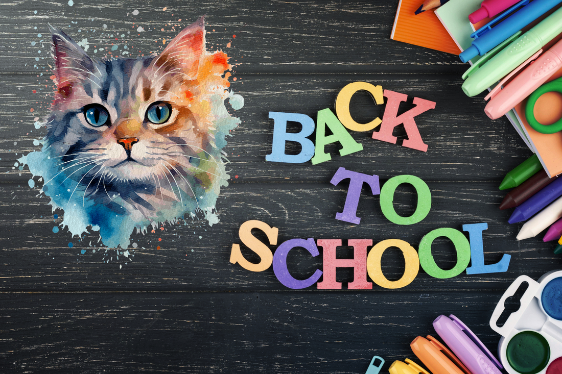 Back-to-School Shopping: Your Cat's Wish List