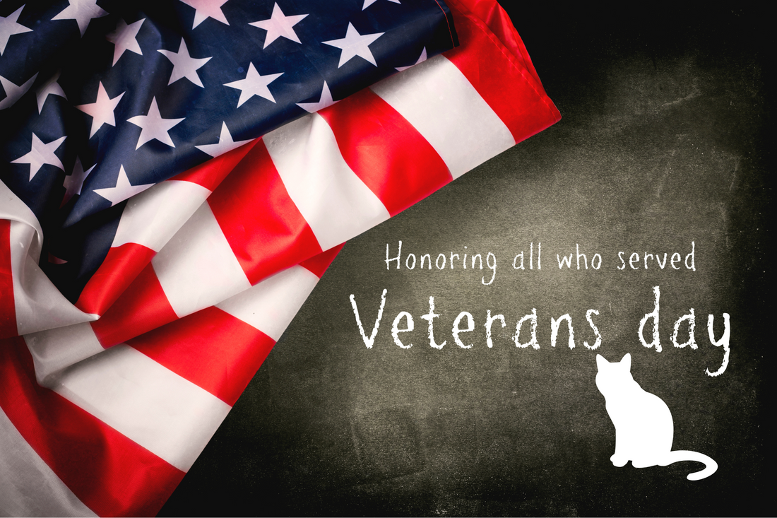 Veterans Day: Your Cat's Secret Life as a Superhero
