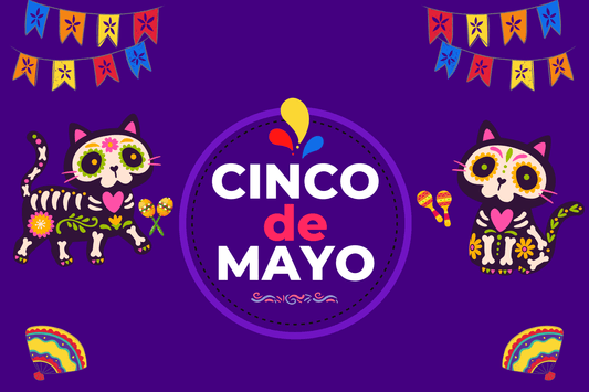 Cinco de Mayo: Teaching Your Pet Spanish in 5 Minutes!