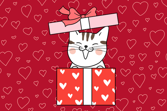 Valentine's Day: A Guide for the Hopelessly Unromantic