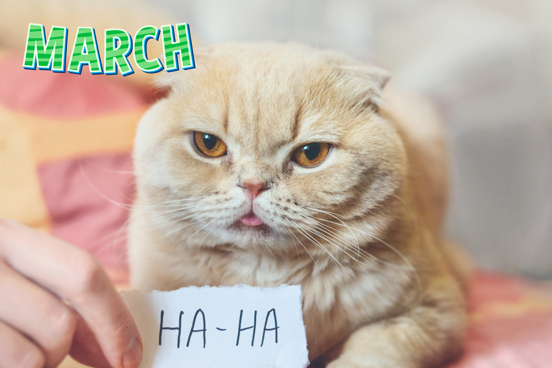 April Fools’ Day: 5 Cat Pranks That Deserve a T-Shirt