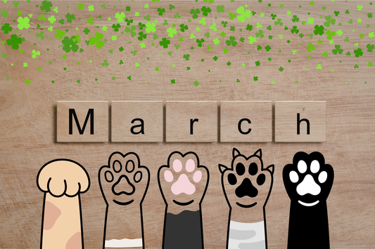 Why Cat Lovers Make Better Humans (Scientifically, Probably)