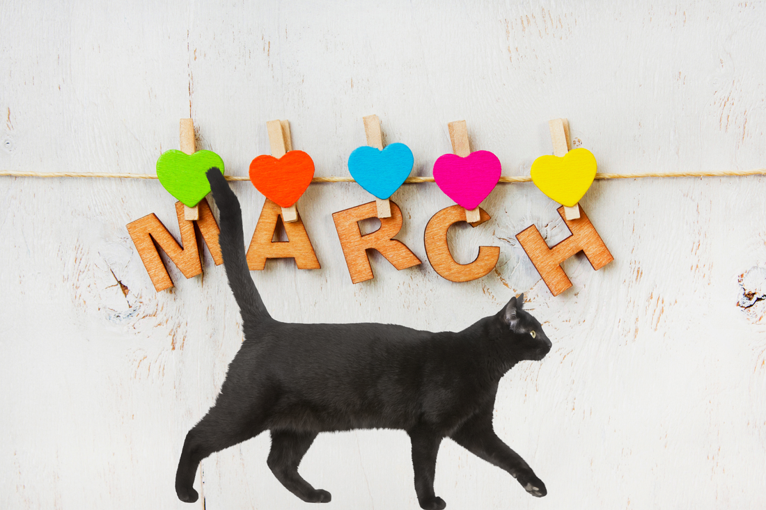 Spring Cleaning? Start With Your Wardrobe (Add More Cats)